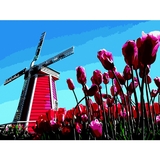 Картина за номерами ZiBi Art Line Вітряний млин 40х50 см (ZB.64155) - Pampik