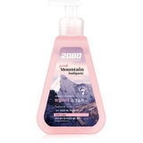 Зубная паста Dental Clinic 2080 Pure Line Pink Mountain Salt с помпой 325 г - Pampik