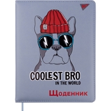 Дневник школьный Yes PU твердый Coolest bro, УФ-лак (911407) - Pampik