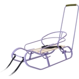 Санки Vitan Експрес зі спинкою та ручкою фіолетові (2130033) - Pampik