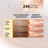 Cтійка крем-фарба для волосся Avena Blond Color тала вода 246, 138 мл - Pampik - 5