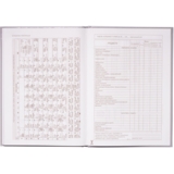 Щоденник шкільний ZiBi Kids Line Ice Cream В5 48 аркушів (ZB.13811) - Pampik - 9