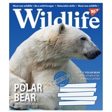 Набір зошитів Yes Wildlife, A5, в лінію, 96 аркушів, 5 шт. (766133) - Pampik - 2