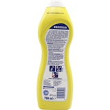 Крем-чистящее средство Denkmit 750 мл - Pampik - 2