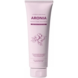 Маска для волосся Pedison Аронія Institute-beaut Aronia Color Protection Treatment, 100 мл (004877) - Pampik