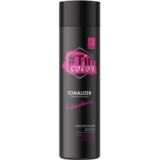 Тоналайзер для волос Tin Color Клубничный сорбет 10/65, 250 мл - Pampik