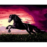 Картина за номерами ZiBi Art Line Чорний красень 40х50 см (ZB.64249) - Pampik