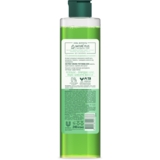 Шампунь Чиста Лінія Зміцнюючий для всіх типів волосся, 250 мл - Pampik - 2