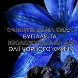 Балансирующий бальзам-ополаскиватель Garnier Botanic Therapy Магнетический уголь, 200 мл - Pampik - 3