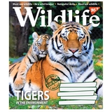 Зошит загальний Yes Wildlife, A5, в клітинку, 60 листів - Pampik - 4