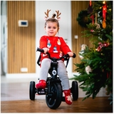 Велосипед Lionelo Haari Green Emerald (LO-HAARI GREEN EMERALD ) - Pampik - 5