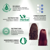 Гель-фарба Acme Color Beauty Phyto Color відтінок 40, чорна кава, 60 мл - Pampik - 4