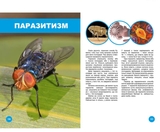 Хто з ким дружить, або дивовижі симбіозу - Клімов Василь (9789669890467) - Pampik - 2