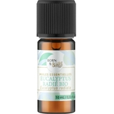 Ефірна олія Born to Bio Евкаліпт променистий 10 мл - Pampik