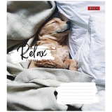 Зошит загальний 1 Вересня Relax Choose, A5, в клітинку, 36 листів - Pampik