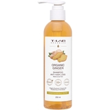 Шампунь T-LAB Organics Organic Ginger Anti Hair Loss для ослабленных и тусклых волос, 250 мл - Pampik