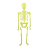 Декор Yes! Fun Хэллоуин Скелет светится в темноте, 34 см (974354) - Pampik