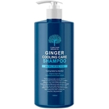 Шампунь для волос Char Char укрепляющий и охлаждающий Argan Oil Ginger Cooling Care Shampoo, 1000 мл (007700) - Pampik
