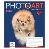 Зошит загальний Yes Photoart, А5, в клітинку, 24 аркуша (766374) - Pampik