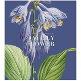 Набір зошитів Школярик My garden, в клітинку, 96 аркушів, УФ-лак, 5 шт. (096-3204K) - Pampik - 4