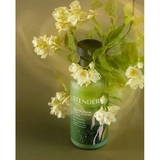 Крем для душа Stenders Северный жасмин и Юзу 250 мл - Pampik - 4