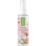 Гідролат для обличчя Lirene Power Of Plants Rose Hydrolatе 100 мл - Pampik
