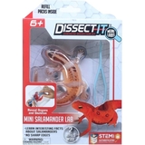 Розвиваючий набір Joker Slimy Lab Анатомія тварин Саламандра S (38085) - Pampik