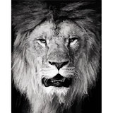 Картина по номерам ArtCraft Big Boss 40x50 см (11611-AC) - Pampik