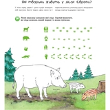 Інтерактивна книжка Богдан Чому? Чого? Навіщо? Тварини світу - Ріхтер Штефан (978-966-10-8473-4) - Pampik - 2
