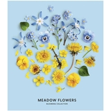 Зошит загальний Школярик Meadow flowers, в лінійку, 36 арк, УФ-лак, 20 шт. (036-3190L) - Pampik - 2