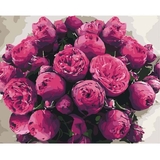 Картина за номерами ArtCraft Загадкові півонії 40x50 см (13102-AC) - Pampik