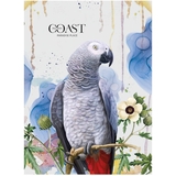 Зошит загальний Student, А4, в лінію, 48 арк., сірий папуга (A4-048-5080L) - Pampik