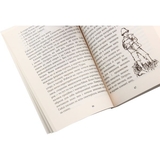 Гайді - Шпири Иоганна (978-966-10-1072-6) - Pampik - 5