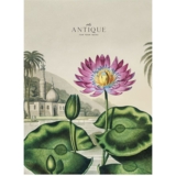 Зошит загальний Student Водяна лілія, А4, в лінію, 80 аркушів (A4-080-5079L) - Pampik