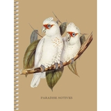 Блокнот для записей Student, В6, в клеточку, спираль, 80 л., Edem Пара белых попугаев (B6-SC-080-6104K) - Pampik