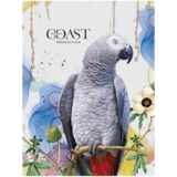 Тетрадь общая Student Серый попугай, А5, в клеточку, 80 листов (A5-080-5084K) - Pampik