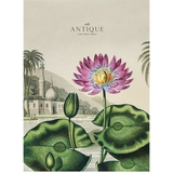 Зошит загальний Student Водяна лілія А4, в лінію, 48 аркушів (A4-048-5079L) - Pampik