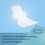 Прокладки Canpol babies післяпологові із крильцями, 10 шт. - Pampik - 2