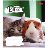 Зошит загальний 1 Вересня Relax Choose, A5, в клітинку, 36 листів - Pampik - 3