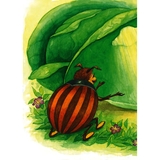 Казка Як стати метеликом - Паронова Віра Іванівна (978-966-10-6248-0) - Pampik - 3