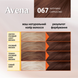 Стойкая крем-краска для волос Avena Shine Color капучино 67, 138 мл - Pampik - 4