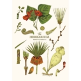 Зошит для ескізів Muse Гербарій 1, А5, без лініювання, 64 аркуші (A5-3C-064-353) - Pampik