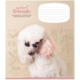 Зошит учнівський Школярик Perfect friends, в клітинку, 18 аркушів, ВД-лак, 25 шт. (018-3250K) - Pampik - 2