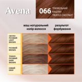 Cтійка крем-фарба для волосся Avena Shine Color Трюфельний каштан 066 - Pampik - 4