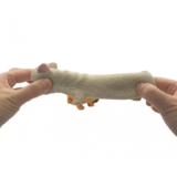 Іграшка-антистрес HY toys Божевільні бульдоги, в асортименті (CKS-10659) - Pampik - 2