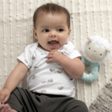 Іграшка-брязкальце Ingenuity Sheppy Ring Rattle (12373) - Pampik - 5