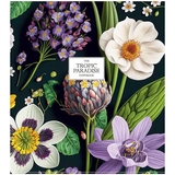 Зошит загальний Школярик Tropic paradise, в лінійку, 48 аркушів, УФ-лак, 10 шт. (048-3254L) - Pampik