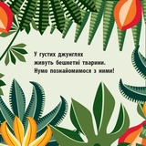 Книга Ранок Команда джунглів - Мадлєн Роджерс (С885009У) - Pampik - 2