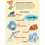 Наліпки для допитливих. Тваринки під водою - Ольга Шевченко (1475279) - Pampik - 2