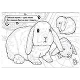 Книга розмальовка Видавництво Ранок Тварини в оселі (А583006У) - Pampik - 2